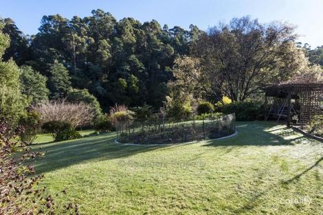 Property photo of 38 Winifred Avenue Acacia Hills TAS 7306