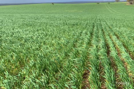 417 Drever Rd, Streaky Bay, SA 5680