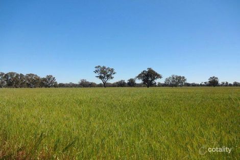 Property photo of Foster Road Boorhaman VIC 3678