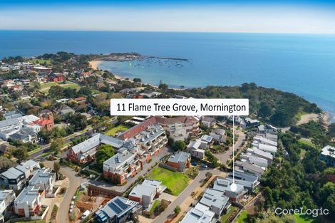 Property photo of 11 Flame Tree Grove Mornington VIC 3931