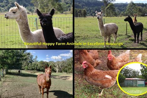 Property photo of 170 Oxbow Road Cawongla NSW 2474