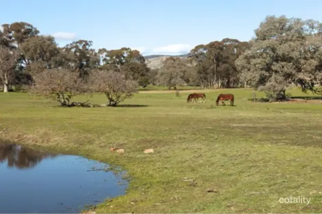 73 Murray St, Violet Town, VIC 3669