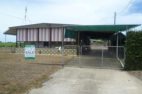 Property photo of 7 Palm Avenue Brandon QLD 4808