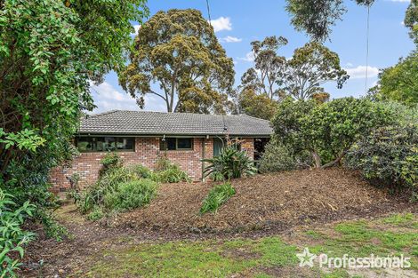 Property photo of 1 Nigel Court Ringwood VIC 3134