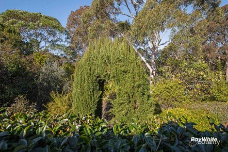 Property photo of 19 Dell Parade Moruya Heads NSW 2537