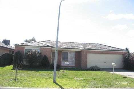 17 Beech Pl, Hallam, VIC 3803