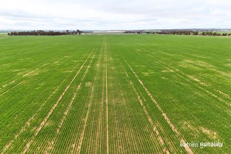 85 Four Mile Gate Rd, Walgoolan, WA 6422