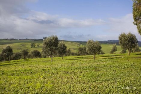 Property photo of 45 Old Lorne Road Deans Marsh VIC 3235