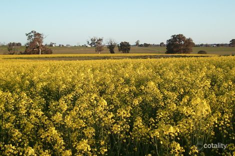 81 Mosgiel Rd, Tenterden, WA 6322