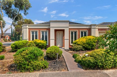 12 Dove Tce, South Morang, VIC 3752