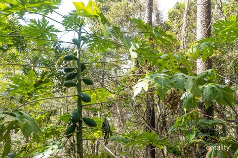Property photo of LOT 60 Goffeys Road Dundas QLD 4306