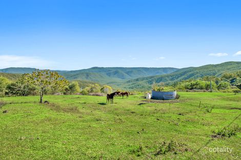 Property photo of 59 Mirani Street Lower Beechmont QLD 4211