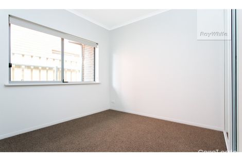 Property photo of 15 Brian Grove Paradise SA 5075