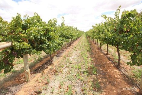 3610 Walnut Ave, Koorlong, VIC 3501