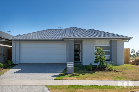 10 Sunrise St, Newport, QLD 4020