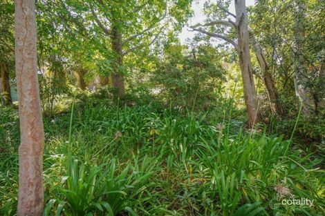 Property photo of 38 Wallis Street Lawson NSW 2783