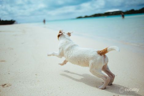 Property photo of 2G/88 Jefferson Lane Palm Beach QLD 4221