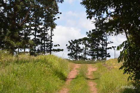 5208 Palmerston Hwy, Ellinjaa, QLD 4886