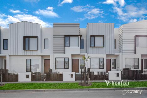 65 Marlborough Rd, Berwick, VIC 3806