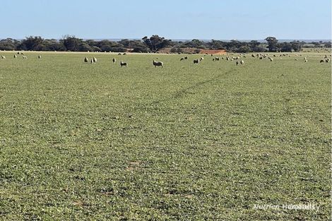 2159 Mouroubra Rd, Tampu, WA 6472