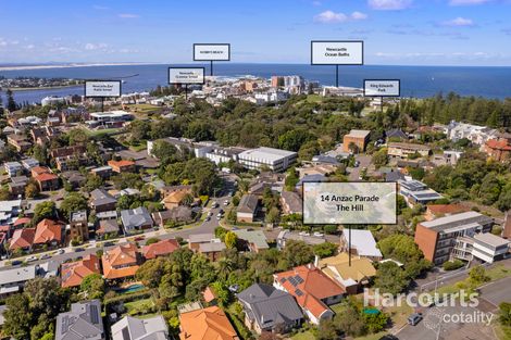 Property photo of 14 Anzac Parade The Hill NSW 2300