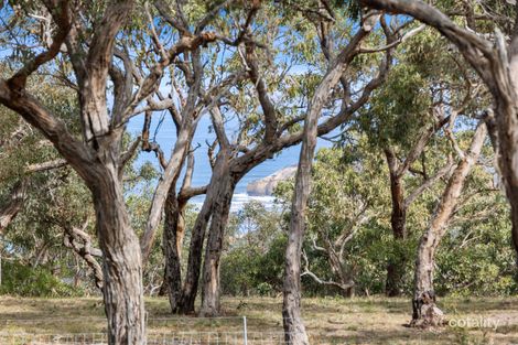 Property photo of 120 Jarosite Road Bells Beach VIC 3228