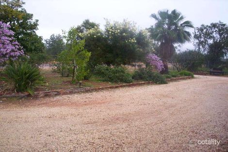 Property photo of 24 Walgett Street Cumborah NSW 2832