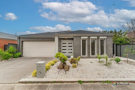 Property photo of 6 Avon Grove Craigieburn VIC 3064