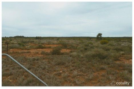 32 Webb St, Menzies, WA 6436