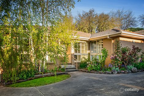 4/53 Laburnum St, Blackburn, VIC 3130