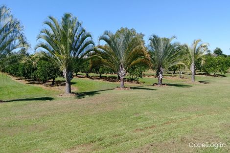 Property photo of 186 McGrath Road Mareeba QLD 4880