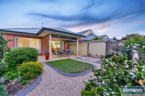 Property photo of 5A Riesling Avenue Glengowrie SA 5044
