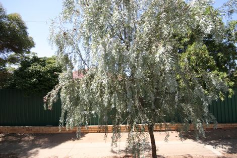 27a Charles St, Ascot Park, SA 5043