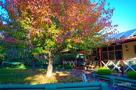 Property photo of 9 Killarra Avenue Camberwell VIC 3124