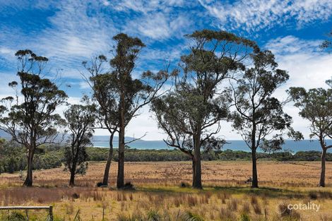 Property photo of 18127 Tasman Highway Bicheno TAS 7215