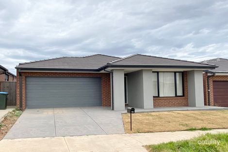 19 Ricotta Rd, Manor Lakes, VIC 3024