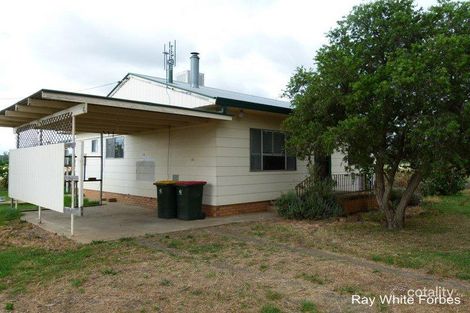 353 Wandary Lane, Forbes, NSW 2871