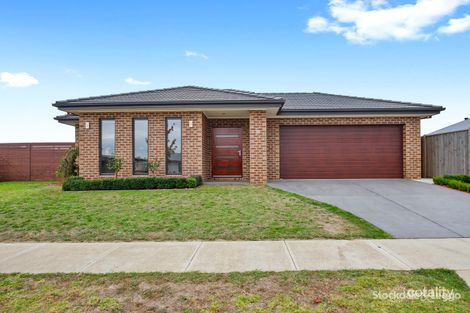 Property photo of 16 Brampton Avenue Morwell VIC 3840