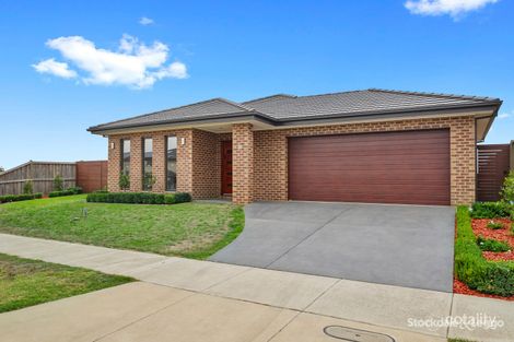 Property photo of 16 Brampton Avenue Morwell VIC 3840