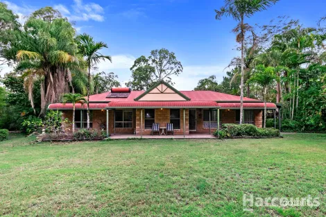 Property photo of 54 Pindari Crescent Sunshine Acres QLD 4655