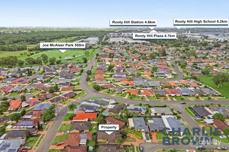 Property photo of 53 Rathmore Circuit Glendenning NSW 2761