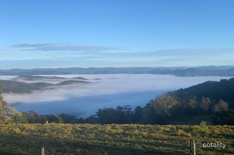 313 Ducks Ridge Rd, Comboyne, NSW 2429