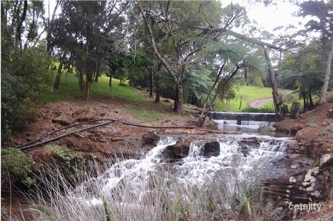 Property photo of 263 Ross Road Evelyn QLD 4888