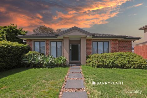 1/36 Vincent St, Mulgrave, VIC 3170