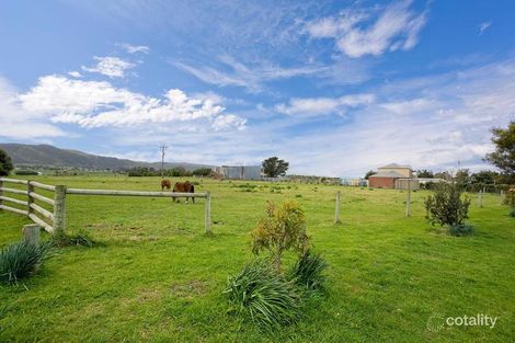 Property photo of 7 Costerman Terrace Marengo VIC 3233