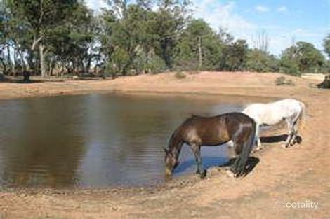 Property photo of 46-64 Lone Pine Road West Wyalong NSW 2671