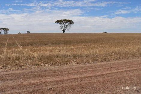 Ware St, Wagin, WA 6315