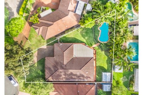 Property photo of 8 Curlew Close Port Macquarie NSW 2444