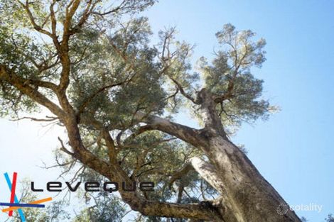 383 Parade Rd, Dalyellup, WA 6230