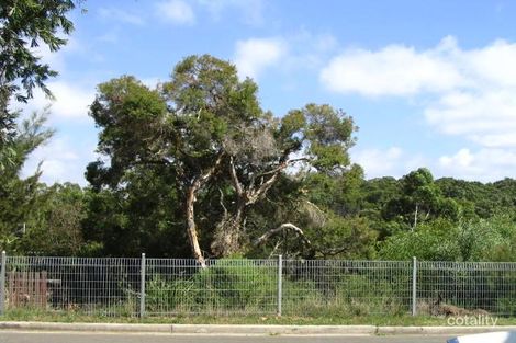 50 Westminster Rd, Gladesville, NSW 2111